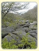 Les gorges du Corong